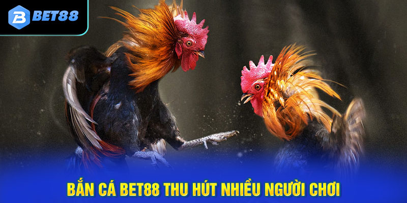 Đá gà Bet88 đấu trường thế giới